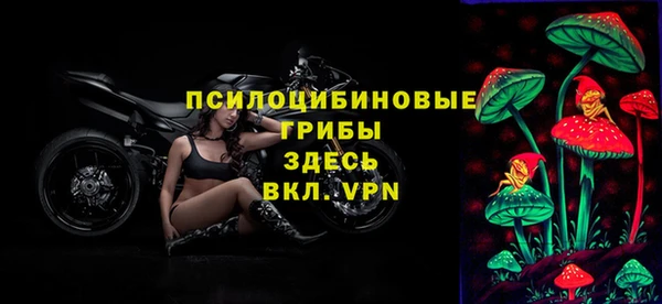 мет Белокуриха
