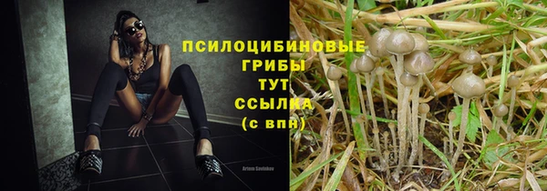 мет Белокуриха